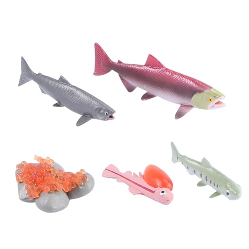 PartyKindom 4 Stück Teiliges Realistisches Lachsmodell Set Lernspielzeug Fischwachstumszyklus Pädagogisch Aquatische Tierfiguren für Vorschule und Frühe Bildung Zufällige Zufällige Farbe von PartyKindom
