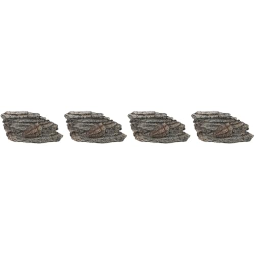 PartyKindom 4 Stück fossiles Exemplar Treibholz für Aquarien mit Haube Reptil Schildkröte Gecko sammeltassen paläontologisches Exemplar paläontologisches Trilobitendekor Trilobiten- Harz PartyKindom 4 Stück fossiles Exemplar Treibholz für Aquarien mit Haube Reptil Schildkröte Gecko sammeltassen paläontologisches Exemplar paläontologisches Trilobitendekor Trilobiten- Harz von PartyKindom