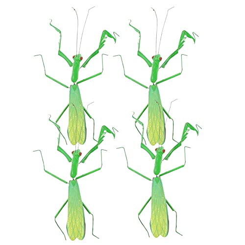 PartyKindom 4stücke Figuren Für Mädchen Hochwertiges Dekoration Lernspielzeug Für Garten Und Unterricht Lebensechte Simulation Von Insekten von PartyKindom