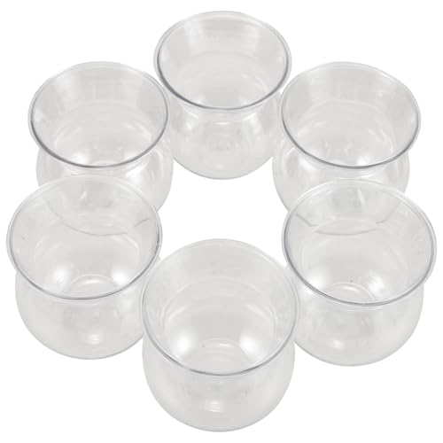 PartyKindom Kleiner Blumentopf 6 Stück Transparent Kompakt Dekorative Miniatur Vasen für Sukkulenten und Pflanzen für Schreibtische und Fensterbänke von PartyKindom