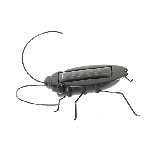 PartyKindom Bionisches Kakerlakenspielzeug Solar Fliegenspielzeug Für Sensorisches Outdoor Kindergeschenke Outdoor Käferspielzeug Simulation Insektenfliegenspielzeug PartyKindom Bionisches Kakerlakenspielzeug Solar Fliegenspielzeug Für Sensorisches Outdoor Kindergeschenke Outdoor Käferspielzeug Simulation Insektenfliegenspielzeug von PartyKindom