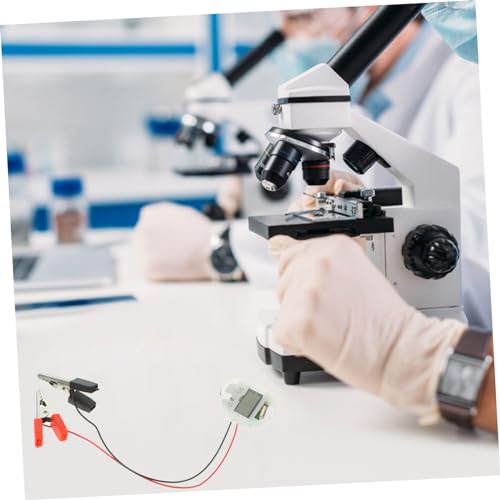 PartyKindom DIY Fruchtbatterie Experimentierkasten für Schüler Kreatives Obst Batterie Kit mit Kartoffeluhr Einfach Zusammenzubauen Fördert Lernen und Wissenschaftliches Verständnis von PartyKindom