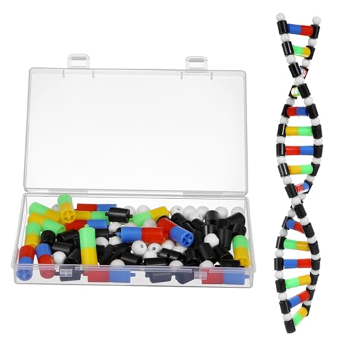 PartyKindom DNA-Modell Für Studenten Lehrhilfsmittel Molekülmodellierungskit Organisch Unterrichten Helix-Modell Wissenschaftsmodell Biologiemodell Wendel Science Educational Toy Klein Plastik PartyKindom DNA-Modell Für Studenten Lehrhilfsmittel Molekülmodellierungskit Organisch Unterrichten Helix-Modell Wissenschaftsmodell Biologiemodell Wendel Science Educational Toy Klein Plastik von PartyKindom