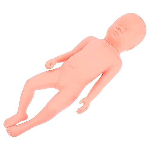 PartyKindom Fetales Modell Pvc-fötusmodell Pvc-trainingsmodell Gummi-fötus-modell Voll Ausgetragener Fötus Plastisches Trainingsmodell Pvc-embryo-modell Bildungsbedarf Modelle Schimmel Pflege von PartyKindom