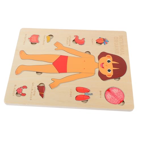 PartyKindom Human Organs Puzzle für Puzzle für Vorschulkinder Pädagogisches Hilfsmittel zur des Körperbewusstseins Gedächtnisentwicklung PartyKindom Human Organs Puzzle für Puzzle für Vorschulkinder Pädagogisches Hilfsmittel zur des Körperbewusstseins Gedächtnisentwicklung von PartyKindom