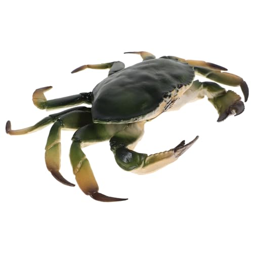 PartyKindom Krabbenmodell Krabbenfigur Meerestierfiguren Meerestiere Lebensechte Krabbe Tier Pädagogisches Lernen Meeresleben Simulierte Meerestiere Künstliche Krabbe Kunststoff PartyKindom Krabbenmodell Krabbenfigur Meerestierfiguren Meerestiere Lebensechte Krabbe Tier Pädagogisches Lernen Meeresleben Simulierte Meerestiere Künstliche Krabbe Kunststoff von PartyKindom