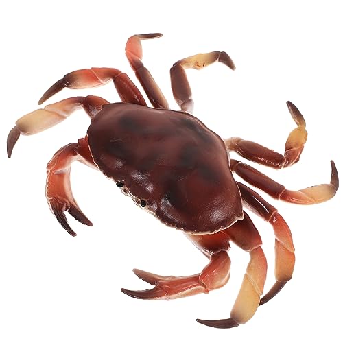 PartyKindom Krabbenmodell Künstliche Krabbenfigur Simulierte Meerestiere Simulation Realistische Krabbenfiguren Kleine Krabbenstatue Realistisches Krabbenmodell Simulation von PartyKindom