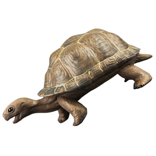 PartyKindom Kunststoff Schildkrötenfigur Lernspielzeug Realistisch Gestaltetes Desktop Schildkrötenmodell aus Robustem PVC Farbenfrohe Tierfigur zur Frühen Entwicklung und Wohnraumdekoration PartyKindom Kunststoff Schildkrötenfigur Lernspielzeug Realistisch Gestaltetes Desktop Schildkrötenmodell aus Robustem PVC Farbenfrohe Tierfigur zur Frühen Entwicklung und Wohnraumdekoration von PartyKindom