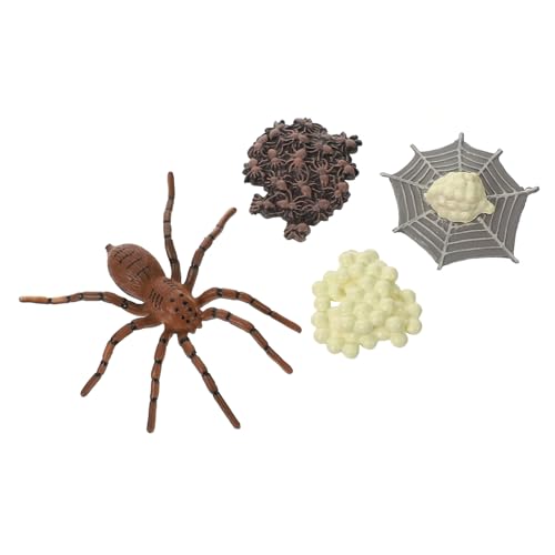 PartyKindom Lebenszyklus Modell von Spinnen Realistische Insektenfiguren für Dekorationsspielzeug für Bildung Theater und Rollenspiele PartyKindom Lebenszyklus Modell von Spinnen Realistische Insektenfiguren für Dekorationsspielzeug für Bildung Theater und Rollenspiele von PartyKindom
