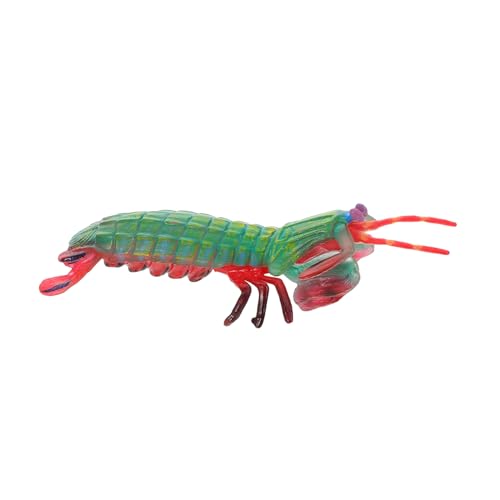 PartyKindom Meerestiermodell für interaktives Tierspielzeug simulierte Tiere realistisches Garnelenspielzeug künstliches kleine Spielsachen Plastik Green von PartyKindom