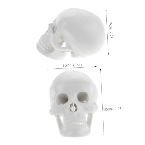PartyKindom Mini Anatomie Schädelmodell Realistische Detailtreue Kleines Desktop Skelettmodell für Medizinstudenten Halloween Dekoration und Unterricht Handliches Schädel Ornament für Präzise von PartyKindom