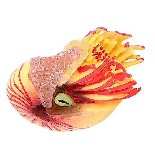 PartyKindom Nautilus Modell aus Kunststoff Simuliertes Meeresmodell für Fördert Kreativität und Farbkenntnis Langlebig und Realistisch für Aquarium Deko Lernspielzeug von PartyKindom