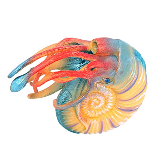 PartyKindom Nautilus Modellspielzeug Realistisches Meereslebewesen aus Leichtem Material für Dekoration von Zuhause Balkon und Garten Fördert durch Spiel PartyKindom Nautilus Modellspielzeug Realistisches Meereslebewesen aus Leichtem Material für Dekoration von Zuhause Balkon und Garten Fördert durch Spiel von PartyKindom