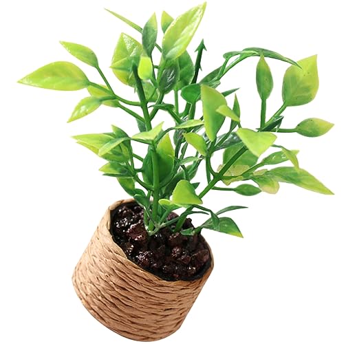 PartyKindom Orangenbaummodell winzig Kind Miniatur Bonsai Kleiner Bonsai Puppenhaus-Blume Puppenhaus-Bonsai Puppenhaus-Miniatur-Topfblumen Simulierter Miniaturblüder Kleiner Blumentopf Plastik PartyKindom Orangenbaummodell winzig Kind Miniatur Bonsai Kleiner Bonsai Puppenhaus-Blume Puppenhaus-Bonsai Puppenhaus-Miniatur-Topfblumen Simulierter Miniaturblüder Kleiner Blumentopf Plastik von PartyKindom