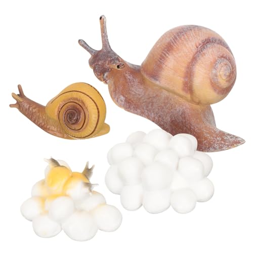 PartyKindom Pädagogisches Tierzyklusmodell Schnecke Teiliges Realistische Wachstumsfiguren für Vorschulkinder Frühe Bildung Naturkunde PartyKindom Pädagogisches Tierzyklusmodell Schnecke Teiliges Realistische Wachstumsfiguren für Vorschulkinder Frühe Bildung Naturkunde von PartyKindom