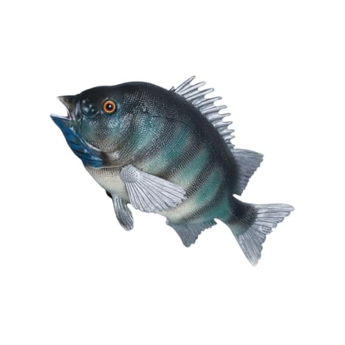 PartyKindom Realistisches Fischmodell Dekoration Kinderspielzeug Robustes Farblich Ansprechendes Meeresornament für Aquarium Pädagogisches Tiermodell zur Kreativität und PartyKindom Realistisches Fischmodell Dekoration Kinderspielzeug Robustes Farblich Ansprechendes Meeresornament für Aquarium Pädagogisches Tiermodell zur Kreativität und von PartyKindom