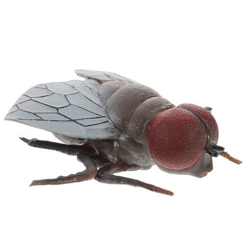 PartyKindom Realistisches Fliegenmodell Insekten für Kognitive Entwicklung Streiche und Halloween Dekorationen Sichere Materialien Lebensechte für Raumgestaltung und Lernspiele von PartyKindom