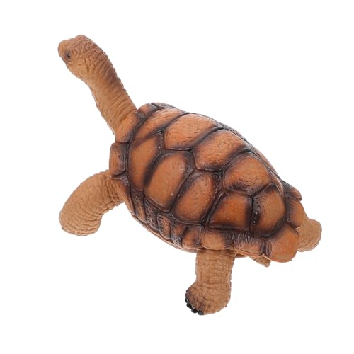 PartyKindom Realistisches Schildkrötenmodell aus Hochwertigem Kunststoff Kompakte für Pädagogisches zur des Tierwissens als Dekoration für Schreibtische Langlebiges und Solides für von PartyKindom