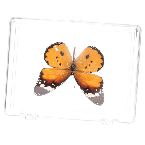 PartyKindom Schmetterlings-Exemplar Schmetterlings-Kit Schmetterling Lebensraum Kinderzimmerdeko für Mädchen insektenbox insekten box Wandhängendes Schmetterlingsexemplar Probenständer Plastik PartyKindom Schmetterlings-Exemplar Schmetterlings-Kit Schmetterling Lebensraum Kinderzimmerdeko für Mädchen insektenbox insekten box Wandhängendes Schmetterlingsexemplar Probenständer Plastik von PartyKindom