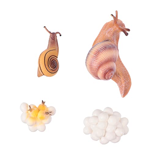 PartyKindom Simulierte Tiermodelle Set aus Kunststoff Realistische Lebenszyklus Figuren Pädagogisches für Sicher und Geruchlos Multipurpose Lernspielzeug für Frühförderung von PartyKindom