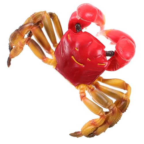 PartyKindom Simuliertes Krabbenmodell Kunststoff Dekoration Realistisch Glatte Oberfläche Pädagogisches Meerestier für Aquarium und Wohnraum Deko von PartyKindom