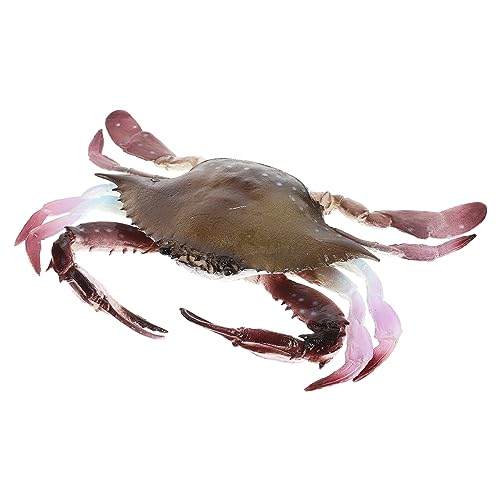 PartyKindom Spielzeugkrabbe Simuliertes Krabbenmodell für Ozeanspielzeug Krabbenspielzeug und Lehrmittel als Partygeschenk Dekoration im Aquarium von PartyKindom