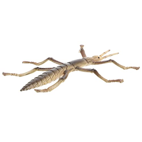 PartyKindom Stickwurmmodellspielzeug Haushaltskinder Dekoratives Lernspielzeug Realistisches Insektenspielzeug Kinderbedarf Tierisches Realistisches Kinderspielzeug Plastik PartyKindom Stickwurmmodellspielzeug Haushaltskinder Dekoratives Lernspielzeug Realistisches Insektenspielzeug Kinderbedarf Tierisches Realistisches Kinderspielzeug Plastik von PartyKindom
