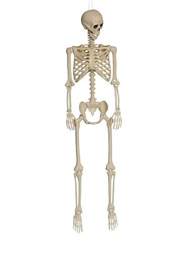 Partychimp Skelett Halloween Dekoration Realistisches Lebensgroßes Menschenskelett Spukhaus Deko Gruseliges Knochenskelett Kunststoff 165 cm Partychimp Skelett Halloween Dekoration Realistisches Lebensgroßes Menschenskelett Spukhaus Deko Gruseliges Knochenskelett Kunststoff 165 cm von Partychimp