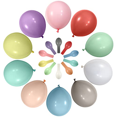 Luftballons bunt 100 Stück, Helium Ballons, langlebige Premium partyBallons für Luft & Helium, in 10 wundervollen Farben,für Geburtstag Luftballons für girlande Babyparties, Hochzeiten und Taufen. von Partyhausy