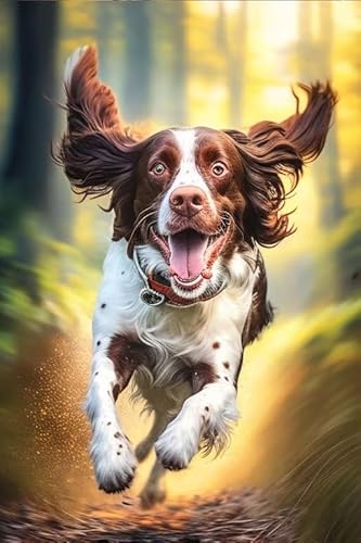 Springer Spaniel 1000 Puzzleteile für Erwachsene, Holzpuzzle zum Laufen von Welpen, herausforderndes Lernspielzeug für die Familie, kreatives Geschenk Springer Spaniel 1000 Puzzleteile für Erwachsene, Holzpuzzle zum Laufen von Welpen, herausforderndes Lernspielzeug für die Familie, kreatives Geschenk von Paskmiy