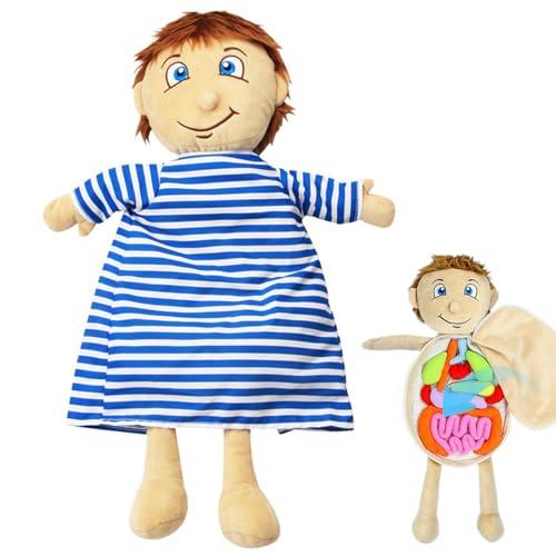 Menschliches Körpermodell für Kinder 13 x 19 entzückende Anatomie -Puppe mit abnehmbaren Orgel -Plüsch -Spielzeugen Interaktives Bildungsspielzeugkörper -Kit für Jungen und Mädchen (Jungen), Weihnach von Pastoralist