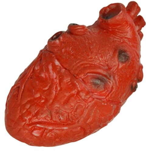 Pastoralist Bloody Heart Prop, simulierte Herz -Stütze Halloween blutige simulierte Körperteile gruselige Organ für Spukhausdekorationen Halloween von Pastoralist