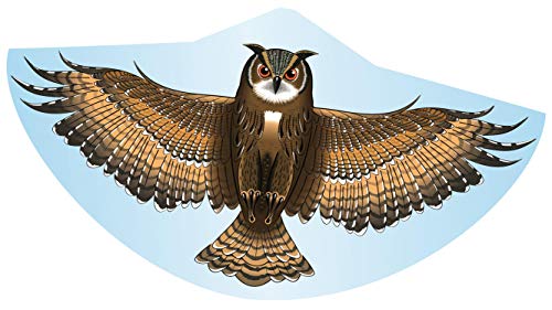 Günther Flugspiele 1193 - Einleiner-Drachen Eule, ca. 122 x 68 cm, Kinderdrachen aus robuster PE-Folie, für Kinder ab 4 Jahren, inkl. Griff und Drachenschnur Günther Flugspiele 1193 - Einleiner-Drachen Eule, ca. 122 x 68 cm, Kinderdrachen aus robuster PE-Folie, für Kinder ab 4 Jahren, inkl. Griff und Drachenschnur von GÜNTHER FLUGSPIELE