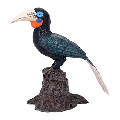 PawwJoy Realistische Vogel-Modell-Figur, PVC, Schreibtisch-Ornament, lebensechte Tierwelt, pädagogisches kognitives Spielzeug, Landschaftssimulation, Dekoration, schwarzer Hornvogel von PawwJoy