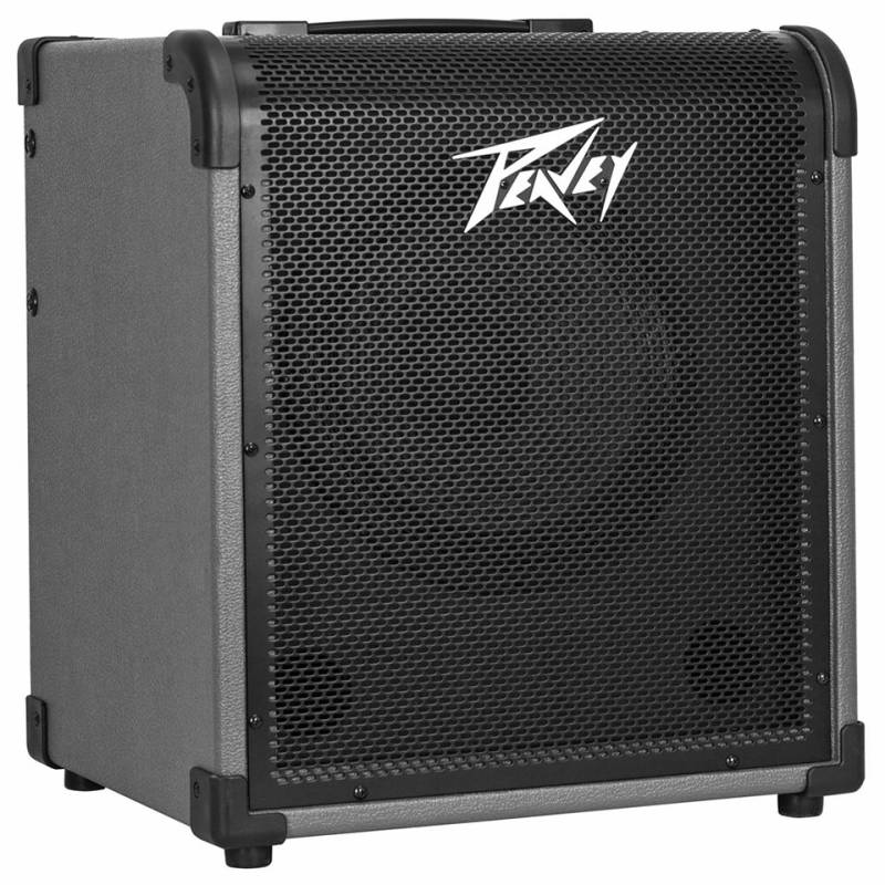 Peavey Max 100 E-Bass-Verstärker von Peavey