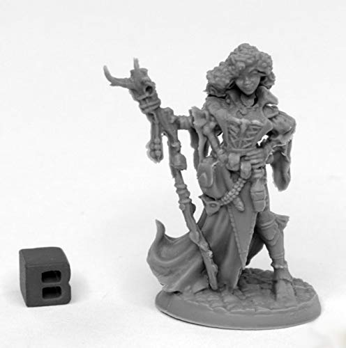 Pechetruite 1 x ANDOWYN THRUSHMOOR - Reaper Bones Miniature zum Rollenspiel Kriegsspiel - 44014 von Pechetruite
