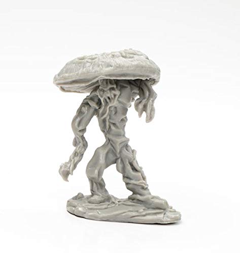 Pechetruite 1 x FUNGAL Guardian - Reaper Bones Miniature zum Rollenspiel Kriegsspiel - 44136 von Pechetruite