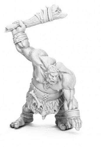 Pechetruite 1 x Lowland Warrior Hill Giant - Reaper Bones Miniature zum Rollenspiel Kriegsspiel - 77475 von Pechetruite