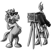 Spirit Island: Sonnenheller Wirbelwind (Mini-Erweiterung) von Pegasus Spiele