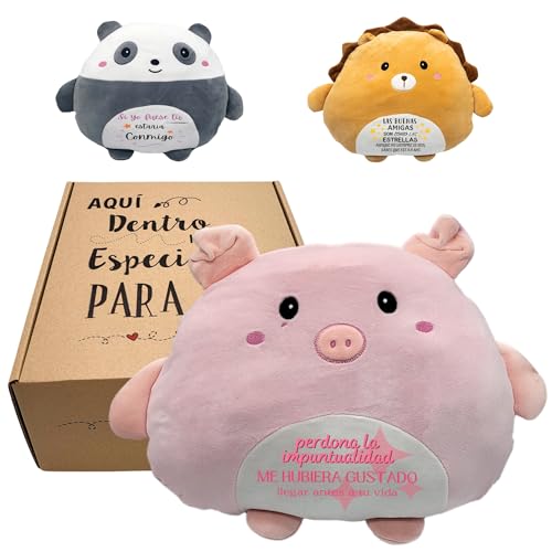 Originelle Geschenke für Damen, Plüschkissen mit lustigem Spruch | Geschenk Freundin Geburtstag | Details zum Verschenken an beste Freunde (Schwein 4) von Peluchilandia