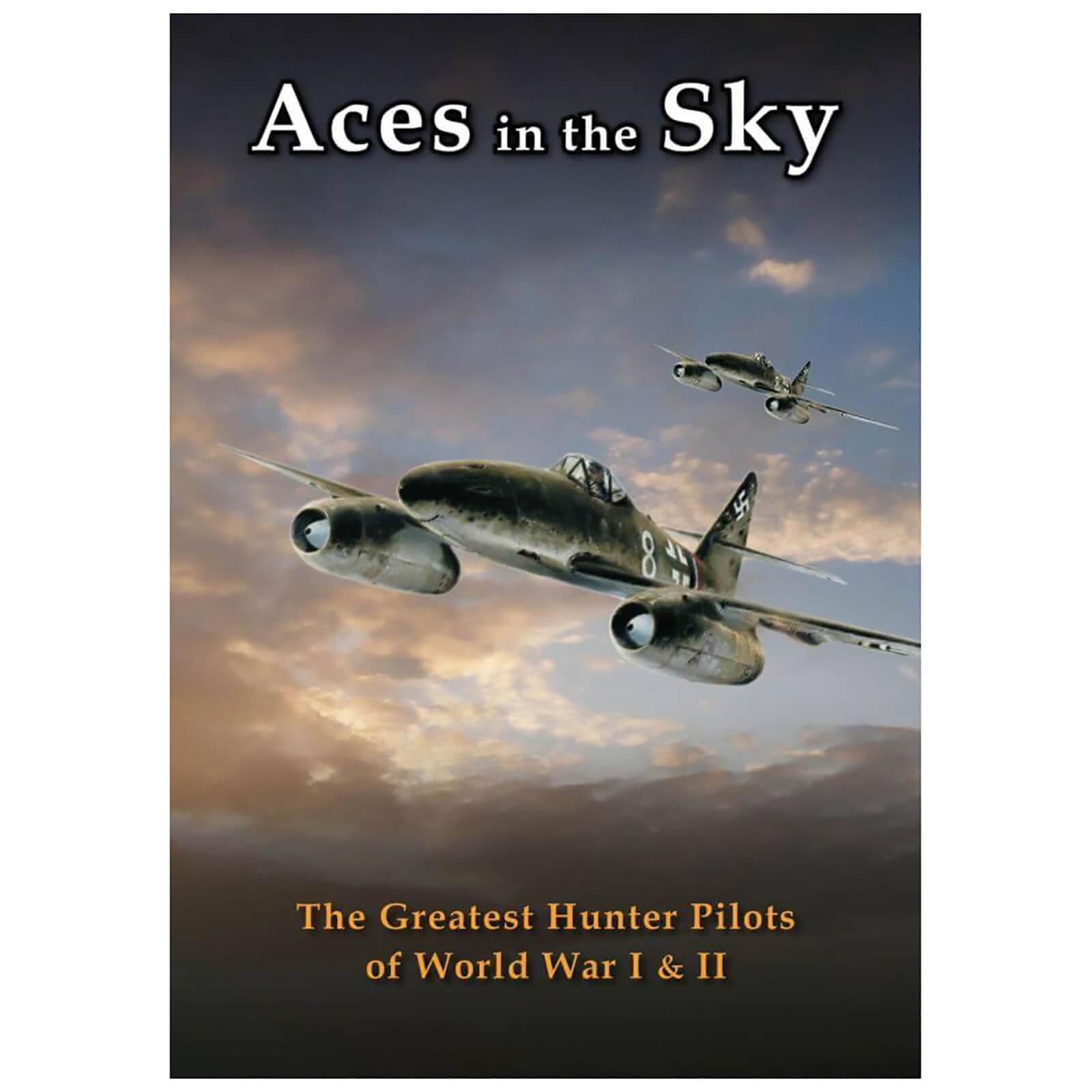 Aces In The Sky: The Greatest Hunter Pilots of WWI and WWII von Pen & Sword