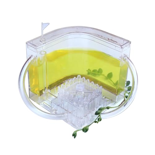 Ameisennest, Ameisenfarm Ameisen Schloss, Ameisen Beobachtungsset, Terrarium für Ameisen, Ameisen Haus mit Gel Ökosystem, Ameisenzuchtset Kinder, Pädagogisches Lernspielzeug für Kinder Erwachsene Ameisennest, Ameisenfarm Ameisen Schloss, Ameisen Beobachtungsset, Terrarium für Ameisen, Ameisen Haus mit Gel Ökosystem, Ameisenzuchtset Kinder, Pädagogisches Lernspielzeug für Kinder Erwachsene von Penlimly