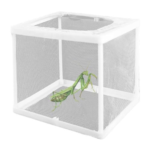 Beting Mantis Egg Case, 2pcs Beten Mantis Lebensraum, 6, 3 x 5, 9 x 5, Eierkoffer, Inkubator für Tarantulas, Spinnen, Schnecken, Grillen und Ameisen und andere kleine Tiere, Inkubator von Peosaard