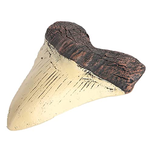 Peowuieu Megalodon Tooth Fossil Riesenhaifischzahn Megalodon Tooth Resin Replica Peowuieu Megalodon Tooth Fossil Riesenhaifischzahn Megalodon Tooth Resin Replica von Peowuieu