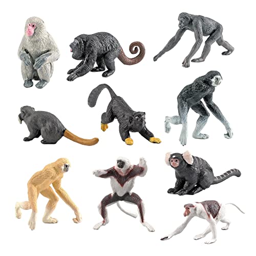 Perfeclan 10 Action PVC Modell Mini Affen Figuren Osterei Weihnachten Geburtstagsgeschenk Schulprojekt Party Favor Perfeclan 10 Action PVC Modell Mini Affen Figuren Osterei Weihnachten Geburtstagsgeschenk Schulprojekt Party Favor von Perfeclan