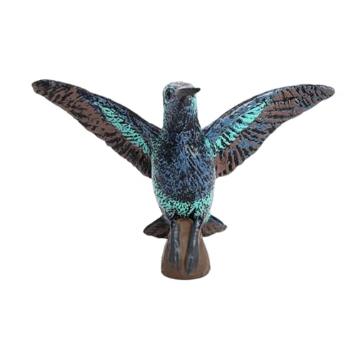 Perfeclan Hummingbird -Figur Statue Realistische Tierskulptur Figur für Klassenzimmer Belohnung Fairy Garden Party bevorzugt Innen im Freien im Freien, 2997 Perfeclan Hummingbird -Figur Statue Realistische Tierskulptur Figur für Klassenzimmer Belohnung Fairy Garden Party bevorzugt Innen im Freien im Freien, 2997 von Perfeclan