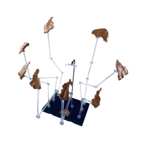 Perfeclan Modell-Actionfigurenständer mit Flying-Rock-Effekt-, Puppenmodellhalterung, leichtes, kreatives Dekofigurenzubehör, Gelb Perfeclan Modell-Actionfigurenständer mit Flying-Rock-Effekt-, Puppenmodellhalterung, leichtes, kreatives Dekofigurenzubehör, Gelb von Perfeclan