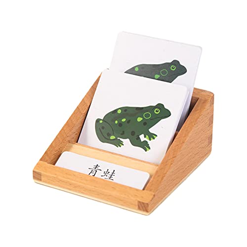 Perfeclan PVC Tierwachstum Lebenszyklus Spielset Pädagogisches Biologie Wissenschaft Spielzeug Actionfigur Modell Kognitives Klassenzimmer Spielzeug für 4-8, Frosch von Perfeclan