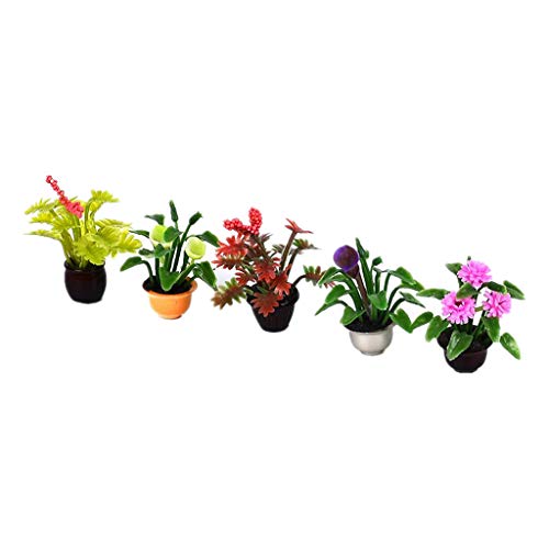 Perfeclan Puppenhaus Zubehör Pflanzen Set MINI Pflanzen Miniatur Zubehör,Puppenstube Pflanztöpfe 5er Set Garten Dekoration, 1:25 Perfeclan Puppenhaus Zubehör Pflanzen Set MINI Pflanzen Miniatur Zubehör,Puppenstube Pflanztöpfe 5er Set Garten Dekoration, 1:25 von Perfeclan