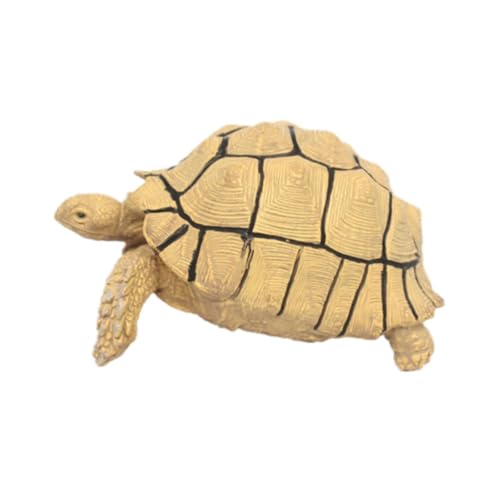 Perfeclan Schildkrötenfigur, Schildkrötenfigur, Skulptur, Wissenschaft, pädagogische Requisiten, Schildkrötenmodell, Spielzeug, kleine Schildkrötenfigur für, Beige Perfeclan Schildkrötenfigur, Schildkrötenfigur, Skulptur, Wissenschaft, pädagogische Requisiten, Schildkrötenmodell, Spielzeug, kleine Schildkrötenfigur für, Beige von Perfeclan
